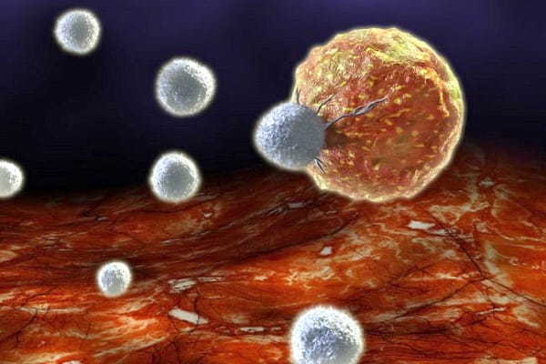 سیستم ایمنی بدن