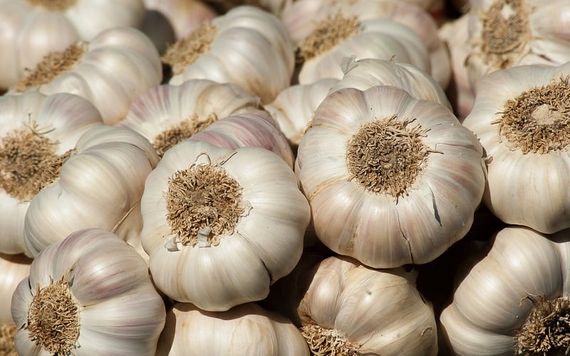 سیر (Garlic) مفید برای سلامت کبد