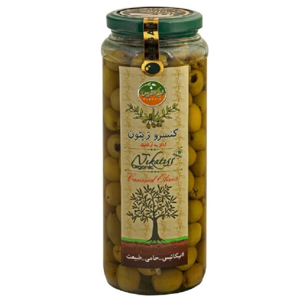 زیتون ویژه بدون هسته ارگانیک نیکاتیس 400 گرمی