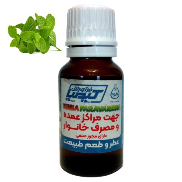 طعم دهنده نعنا روژیوه 15 گرمی